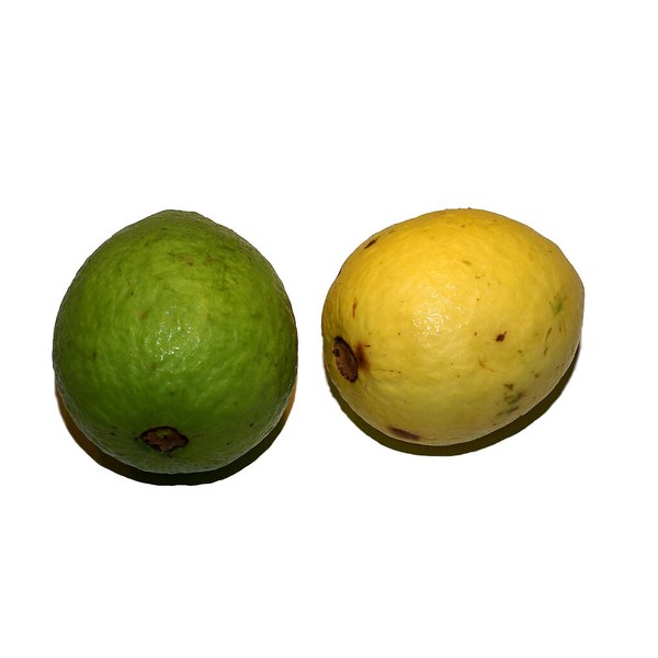 Guava