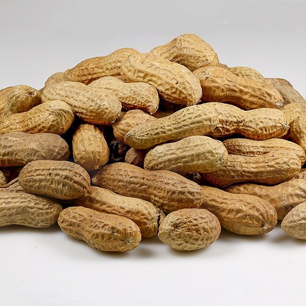 Roasted Peanuts