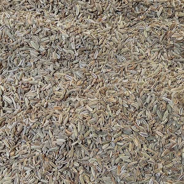 Cumin (Jeera)