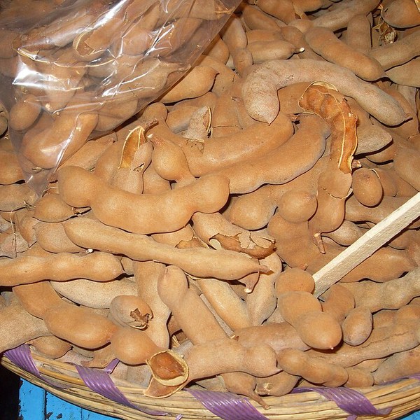 Tamarind (Imli)