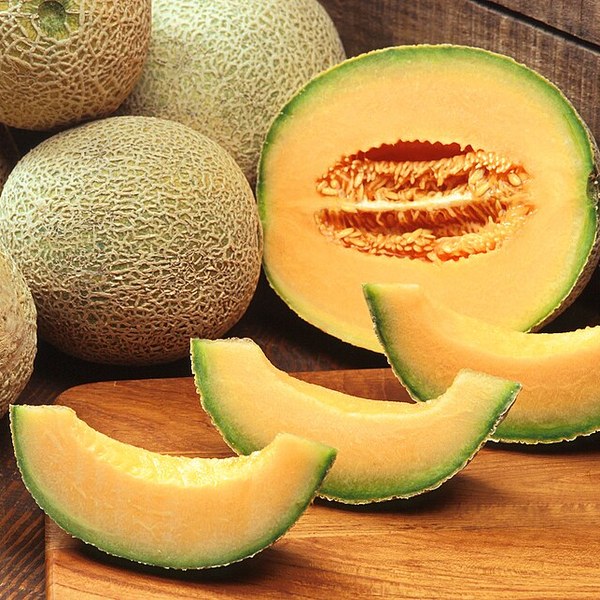 Kharbuja (Muskmelon)