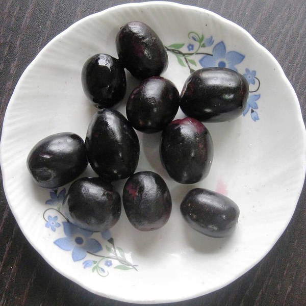 Jamun
