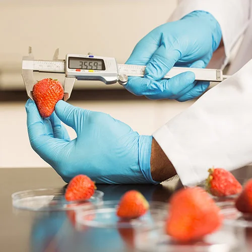 Hygienic production at the Sweetannia facility